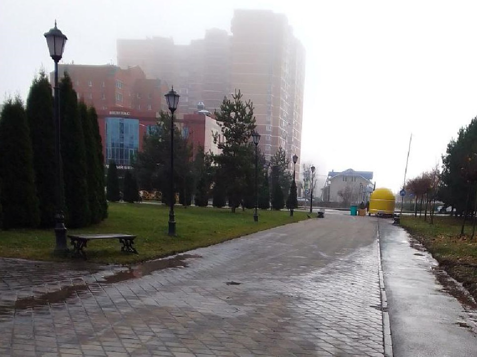 Фото: пресс-служба администрации г.о. Лосино-Петровский