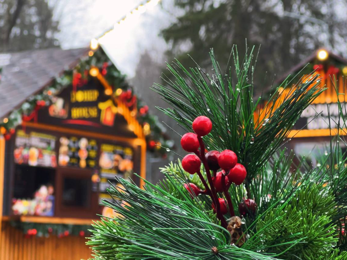 Фото: МБУ «Дирекция парков Одинцовского городского округа»