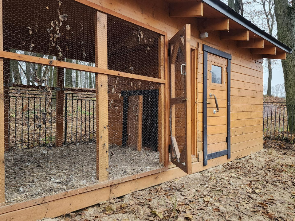 Фото: REGIONS/Валерия Тингаева