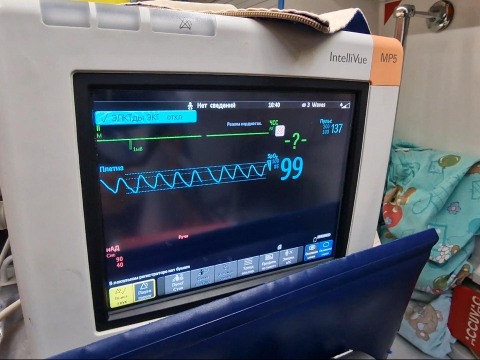 Фото: Виктория Фортуна