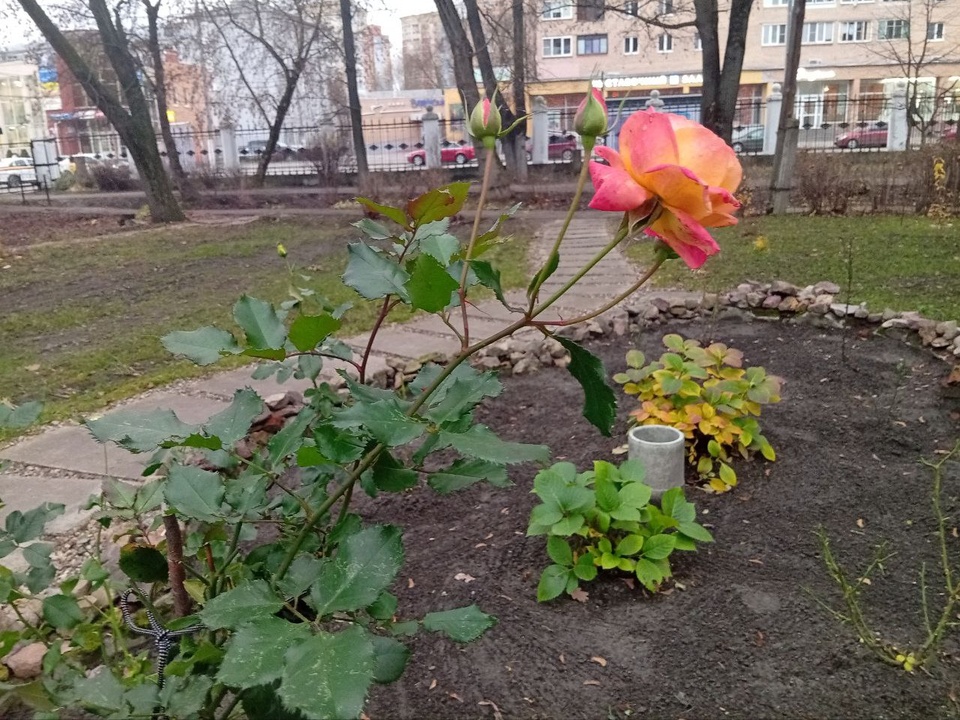 Фото: Дмитрий Роман