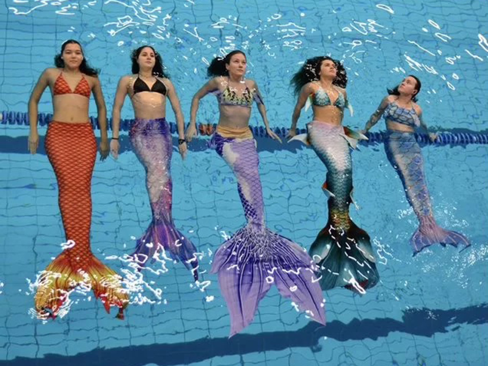 Фото: городская доска объявлений