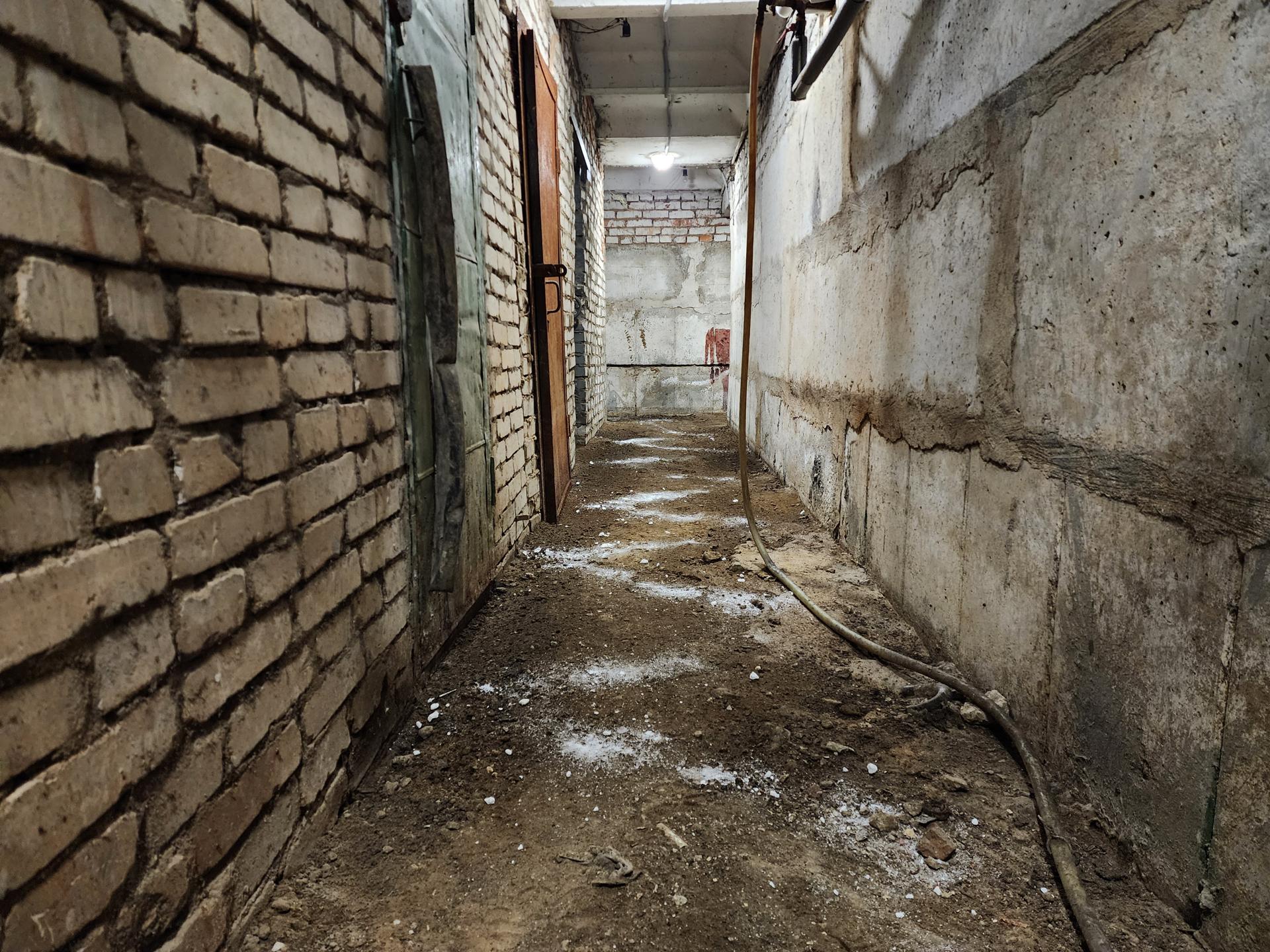 Фото: МедиаБанк Подмосковья/Ирина Моисеева