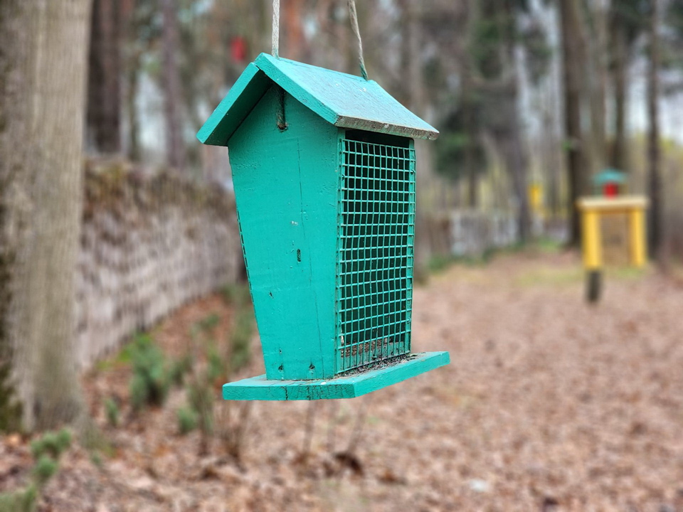 Фото: МедиаБанк Подмосковья/Ксения Пашуто