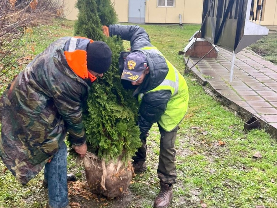 Фото: пресс-служба администрации Наро-Фоминского г.о.            