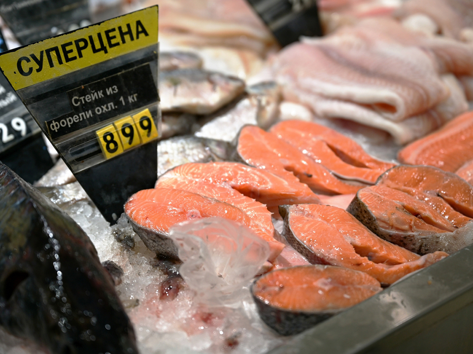 Фото: РИА Новости/Владимир Трефилов