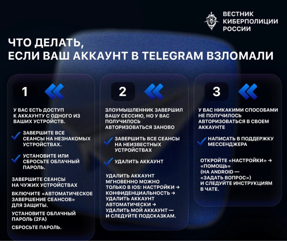 Фото: пресс-служба ГУ МВД России по Московской области, ОМВД России «Зарайский» 
