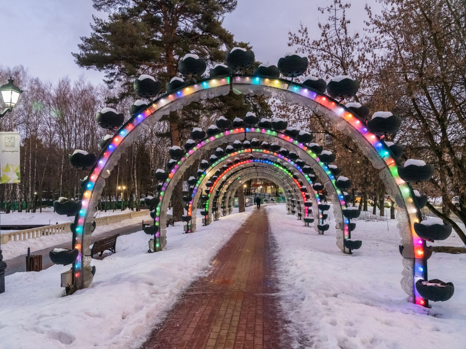 Фото: медиасток.рф