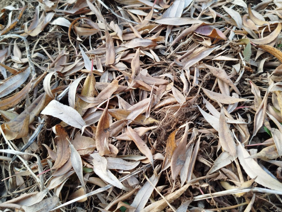 Фото: REGIONS/Юлия Куделькина