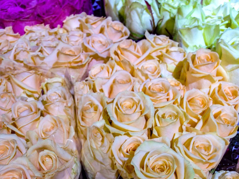 Фото: REGIONS/Роман Малышенко