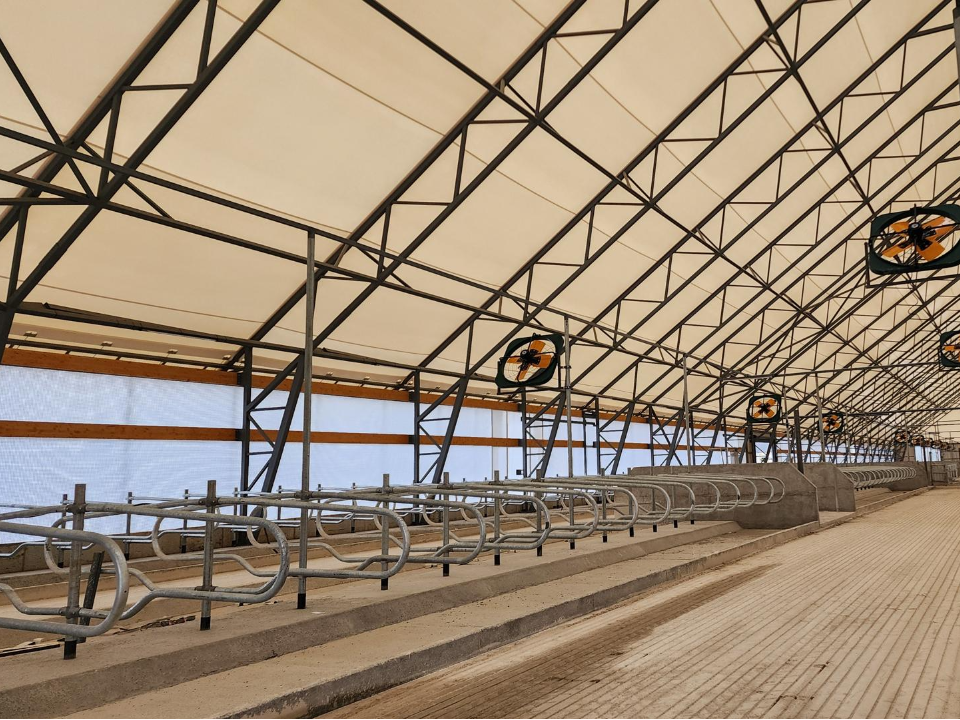 Фото: МедиаБанк Подмосковья/Анастасия Сараева