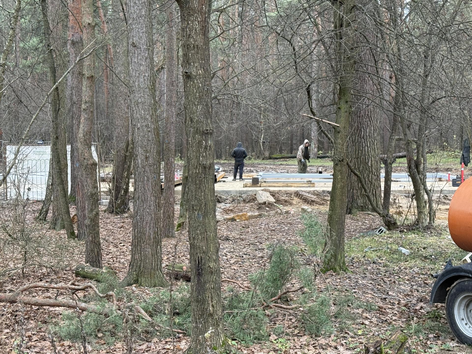 Фото: МедиаБанк Подмосковья/Анна Дука