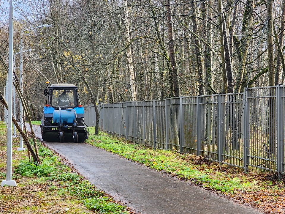 Фото: МедиаБанк Подмосковья/Анна Мороз