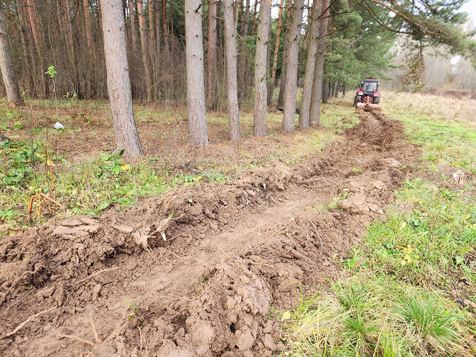 Фото: МедиаБанк Подмосковья/Елена Шумакова