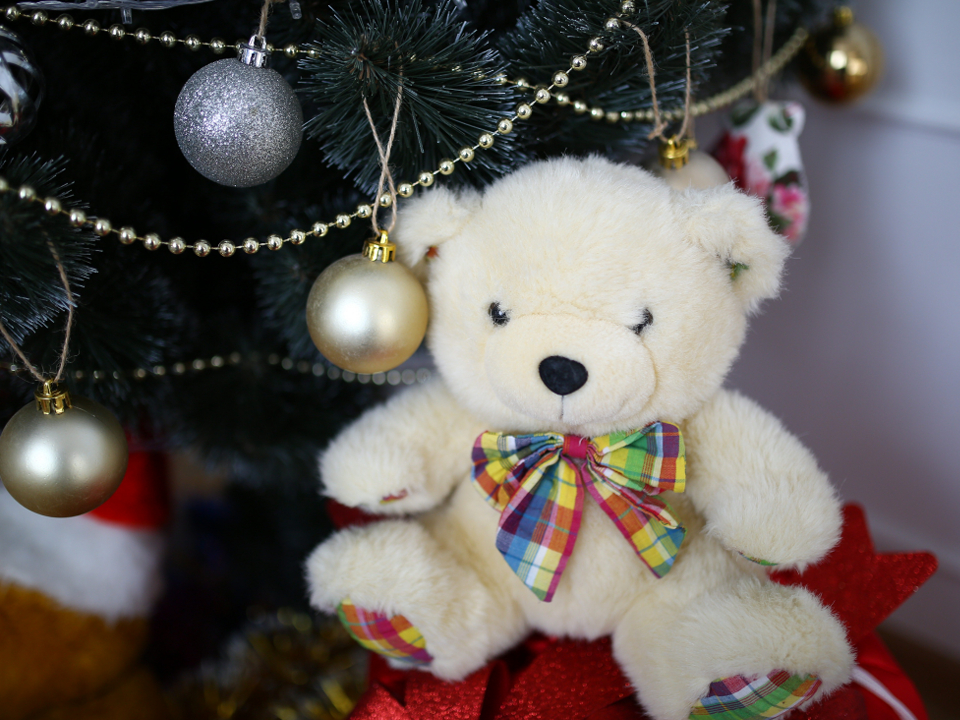 Фото: istockphoto.com/Ganna Gavenko