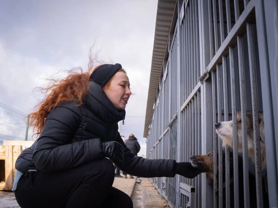 Фото: t.me/lubmger