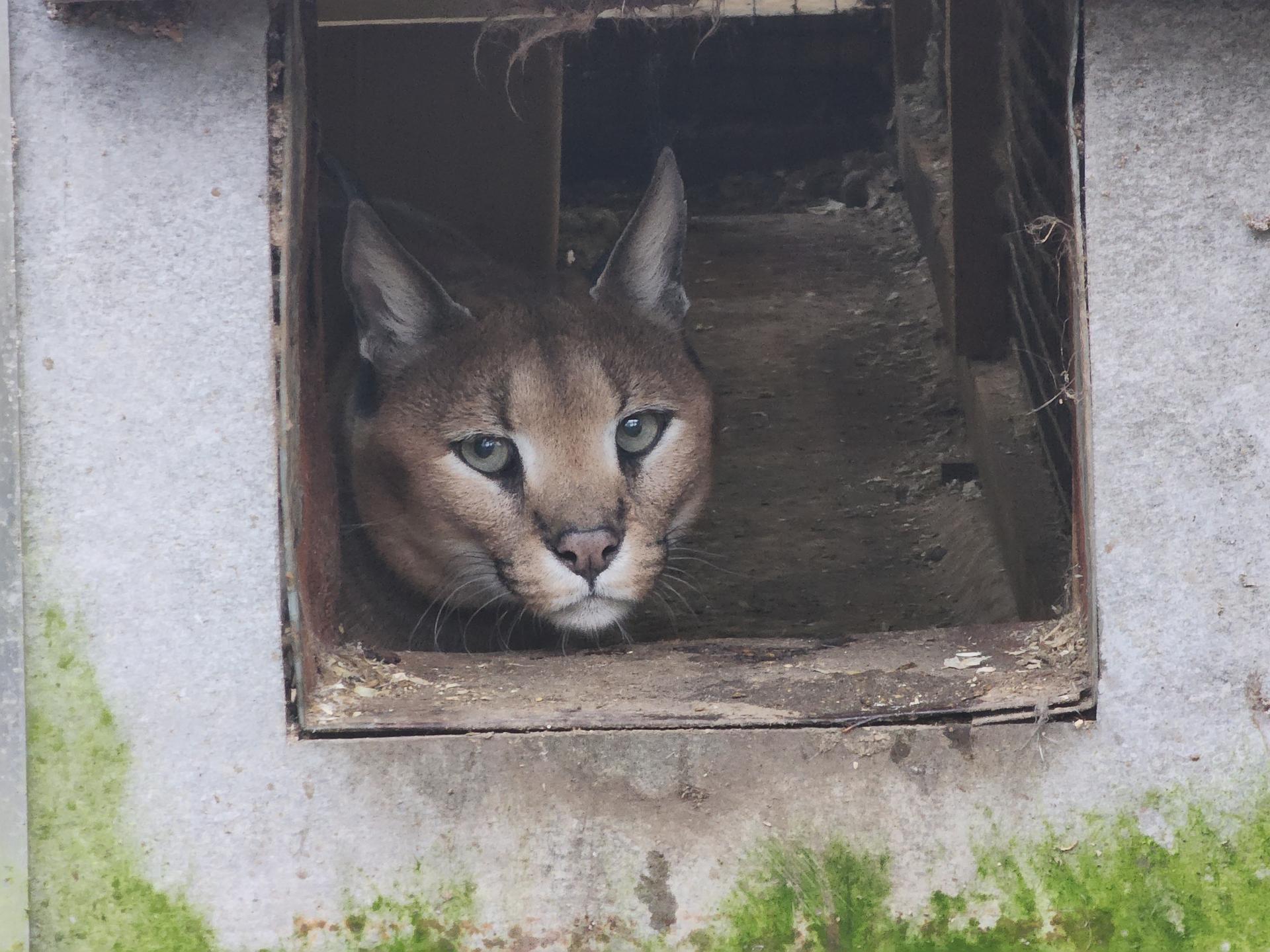 Фото: REGIONS/Иван Петрушин