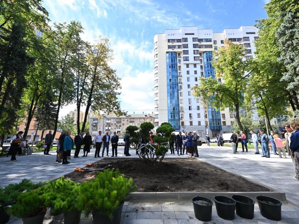 Высадка необычных деревьев и бонсай.Фото: Московская областная Дума