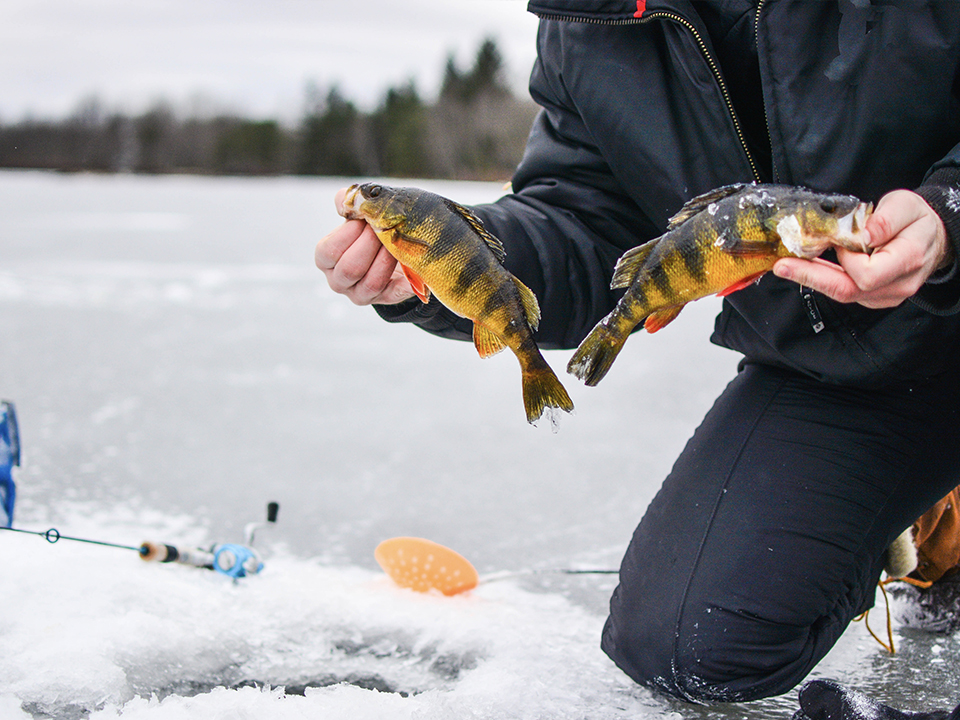 Фото: istockphoto.com/michaldziki