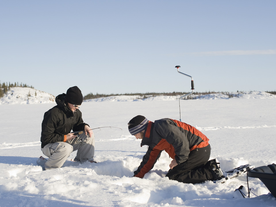 Фото: istockphoto.com/RyersonClark 