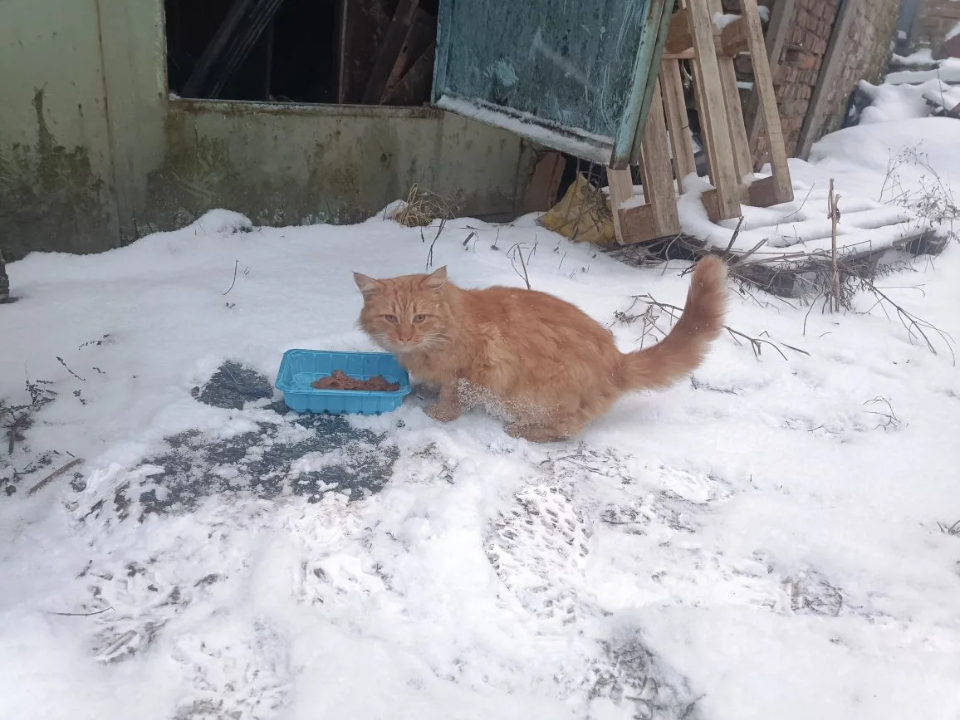 Фото: личный архив Майи Матвеевой