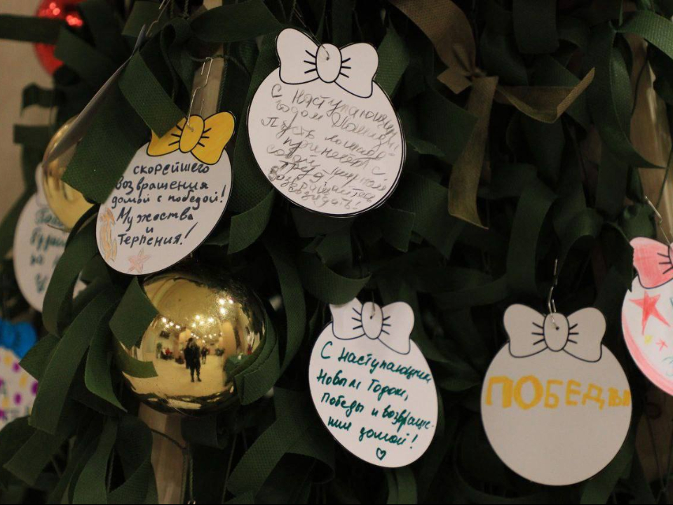 Фото: волоколамское отделение «Волонтеров Подмосковья»