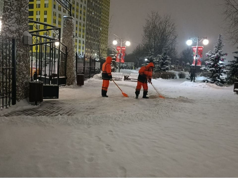 Фото: пресс-служба администрации г.о. Химки