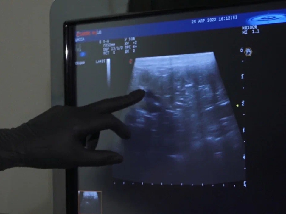 Фото: REGIONS/Наталия Надточая