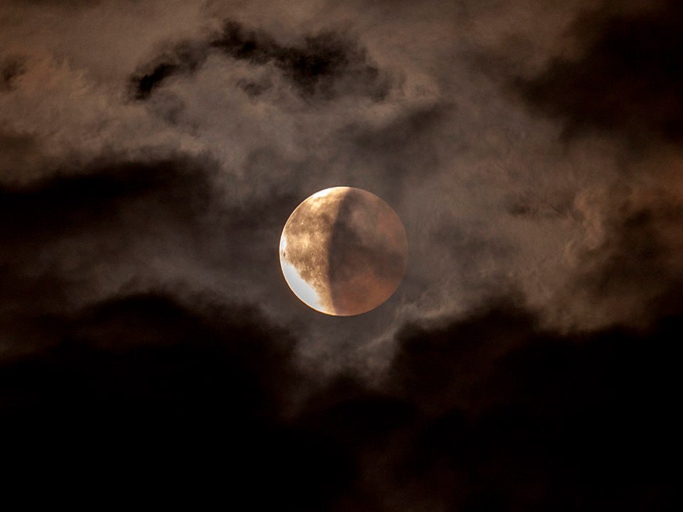 Фото: istockphoto.com/Cocolos Valeriu Octavian