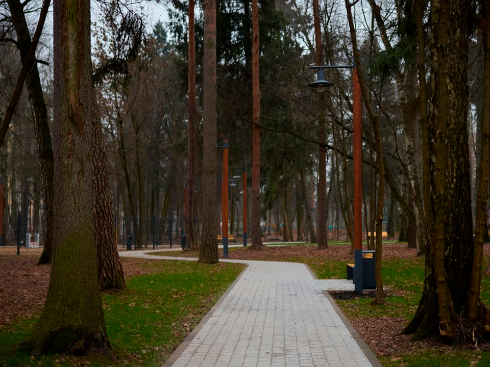 Фото: пресс-служба администрации г.о. Королев