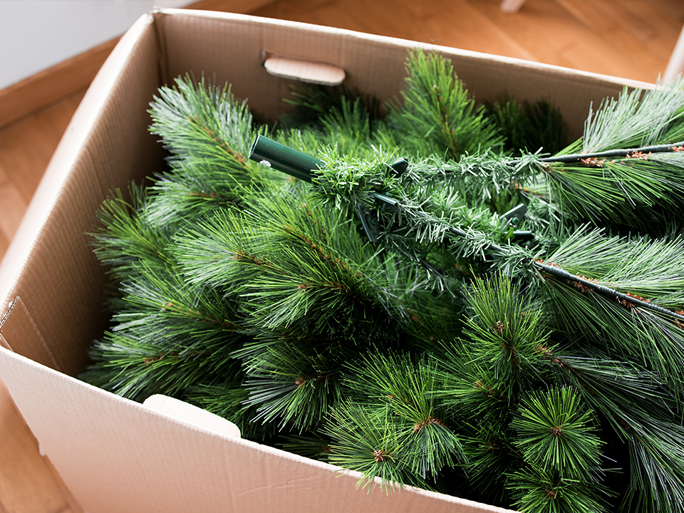 Фото: istockphoto.com/Lamina Akulova