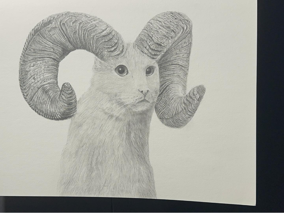 Фото: МедиаБанк Подмосковья/Эдуард Стратонов