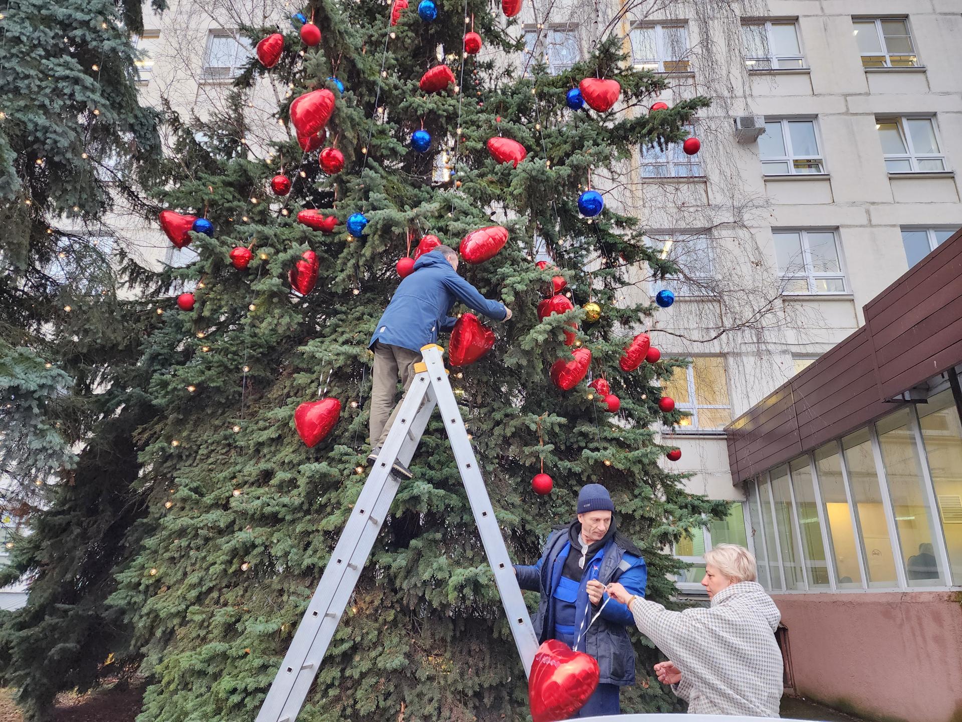 Фото: МедиаБанк Подмосковья/Ирина Моисеева