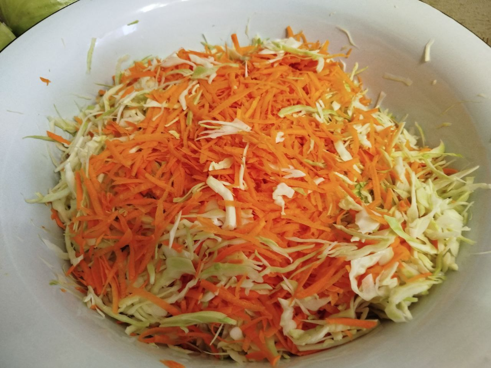 Фото: REGIONS/Юлия Куделькина