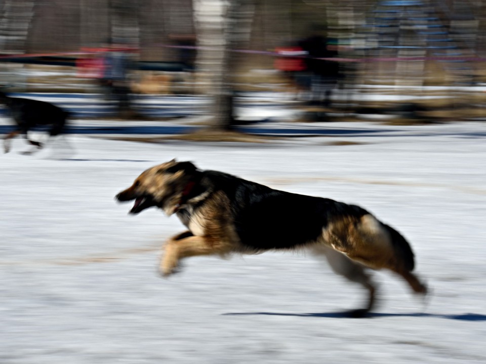 Фото: Ирина Зубарева