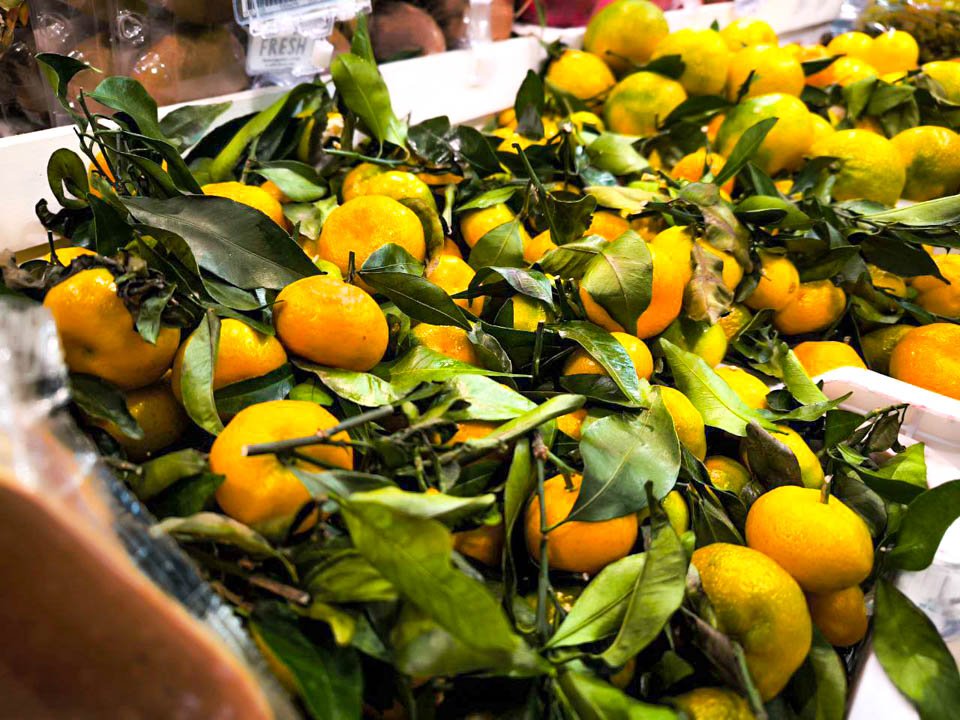 Фото: REGIONS/  Роман Малышенко