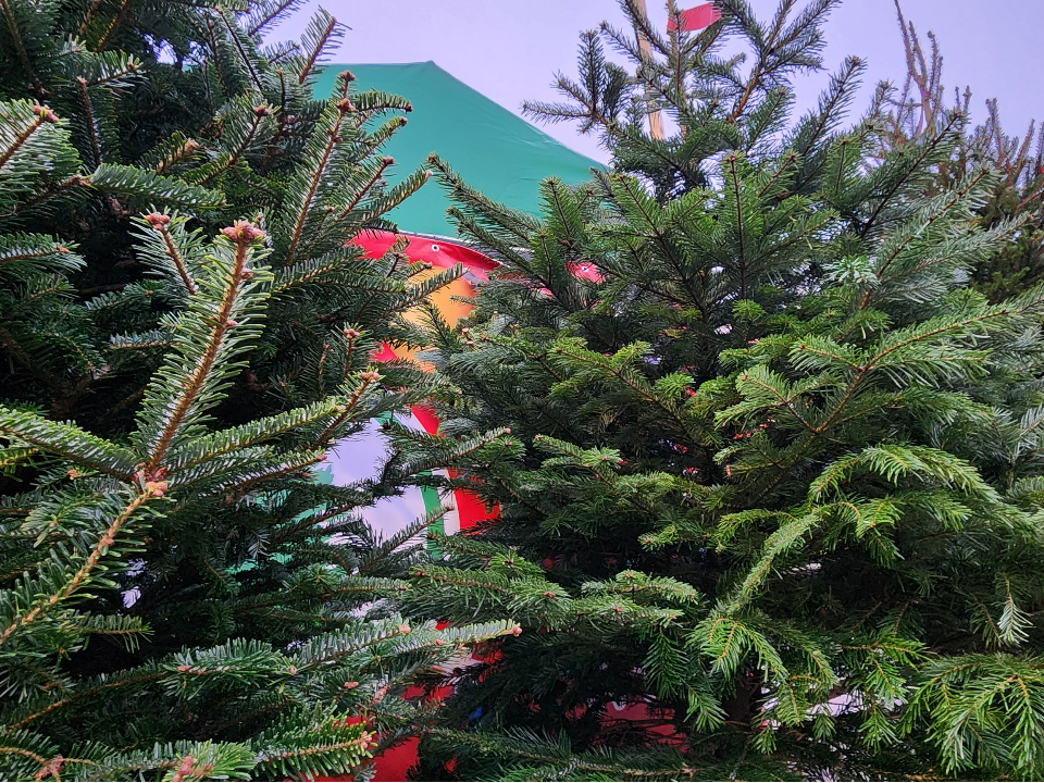 Фото: МедиаБанк Подмосковья/Максим Сафронов