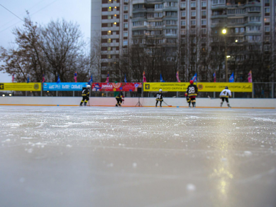 Фото: пресс-служба администрации г.о. Химки
