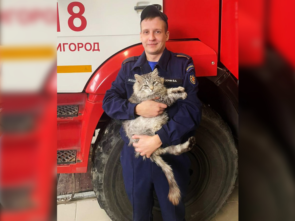 Кот Балоша и пожарный звенигородской части №318 Валерий Зорин. Фото: пресс-служба ГКУ МО «Мособлпожспас»