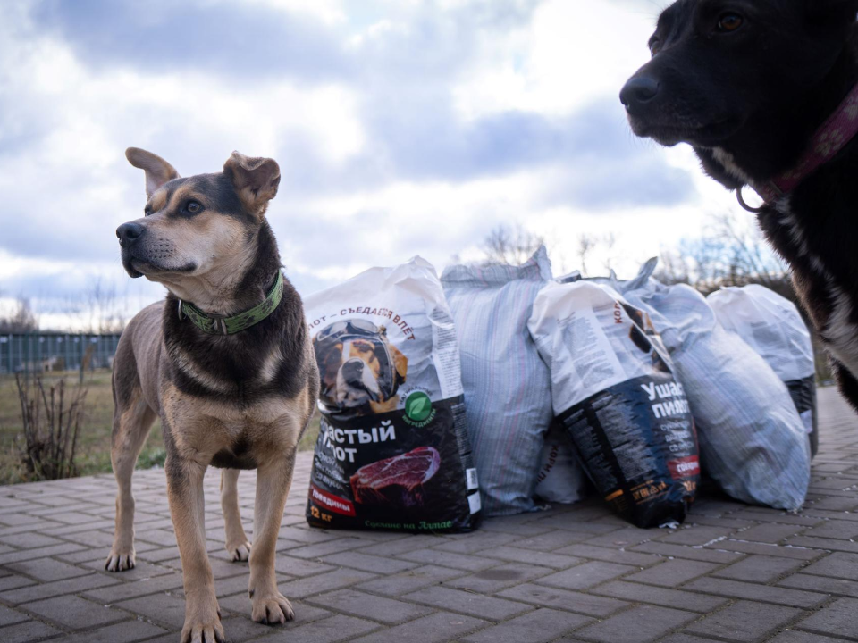 Фото: А. Морозова