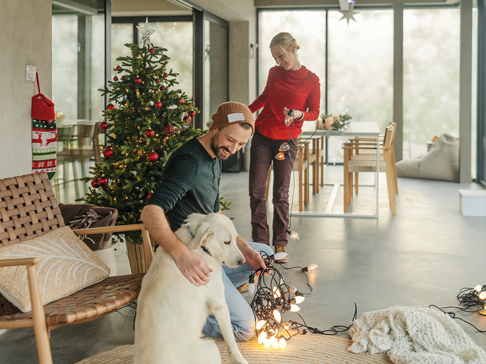 Фото: istockphoto.com/AleksandarNakic