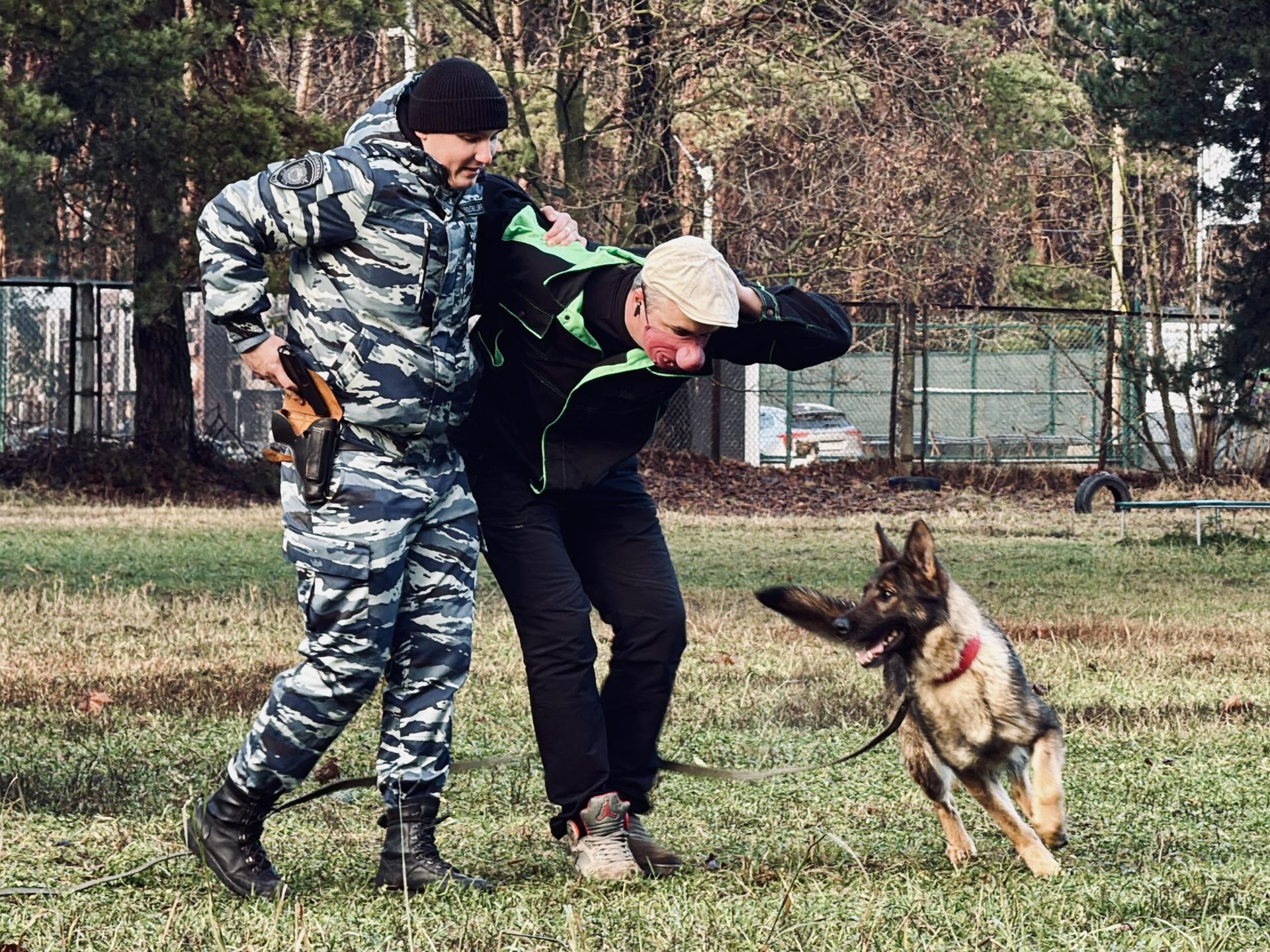 Сержант полиции Данила Черный, младший инспектор-кинолог ЦКС ГУ МВД России по Московской области ( дислокация г. Раменское) и Злата. Фото: МедиаБанк Подмосковья/Ольга Стаферова