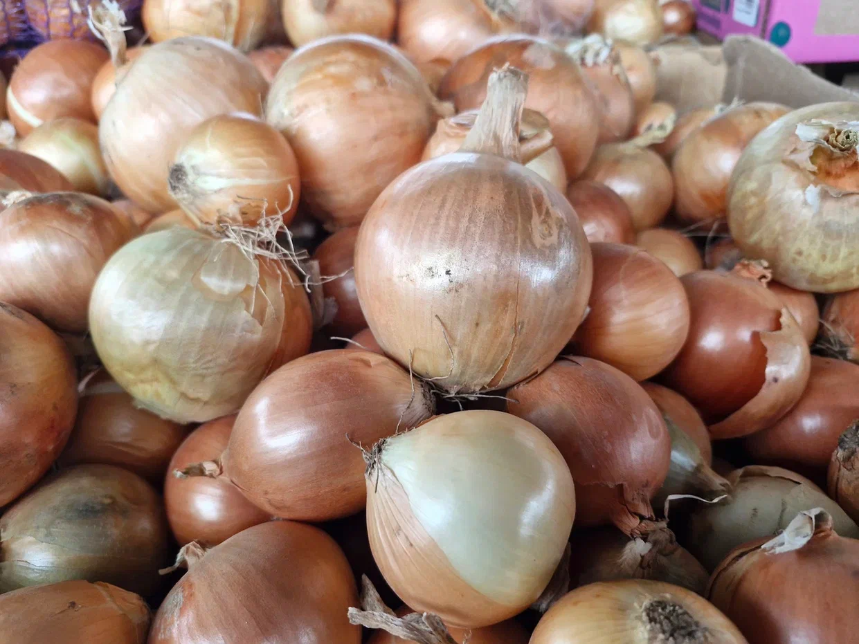 Фото: REGIONS/Наталия Надточая