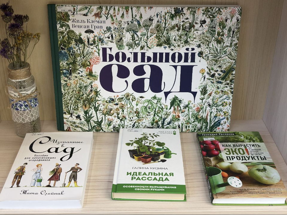 Фото: МедиаБанк Подмосковья/Анна Нестерова