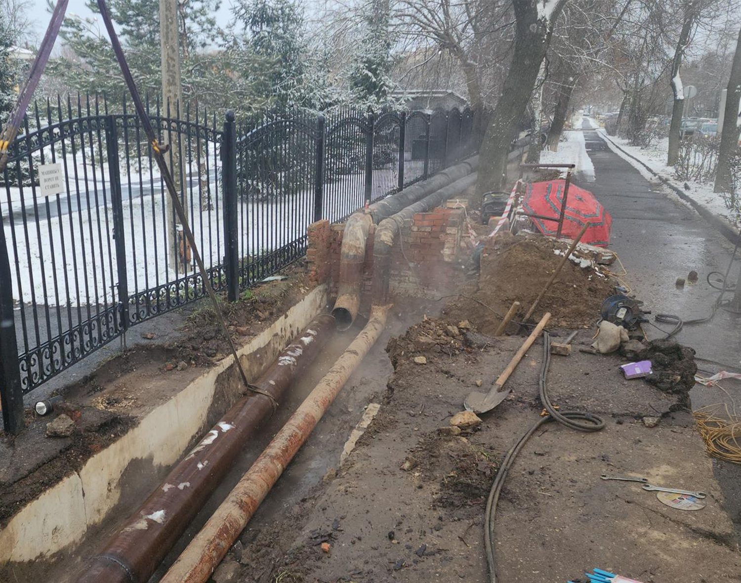 Фото: МедиаБанк Подмосковья/Станислав Орлов