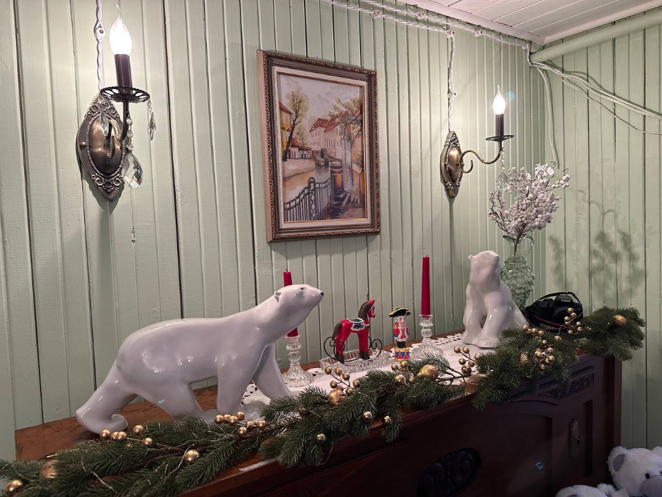 Фото: МедиаБанк Подмосковья/Эдуард Стратонов