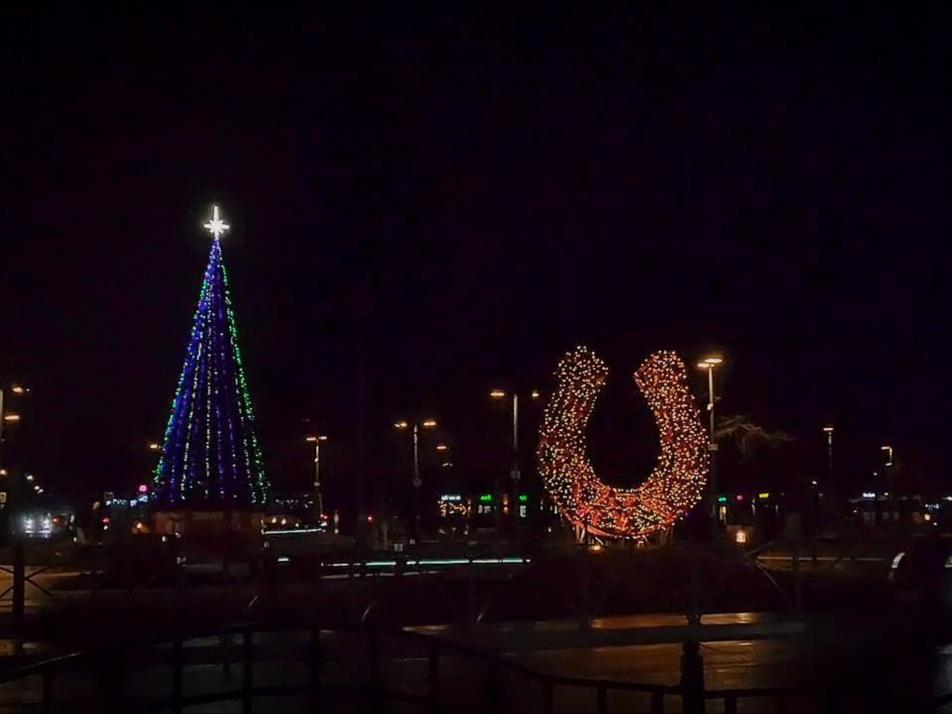 Фото: МедиаБанк Подмосковья/Ольга Антонова