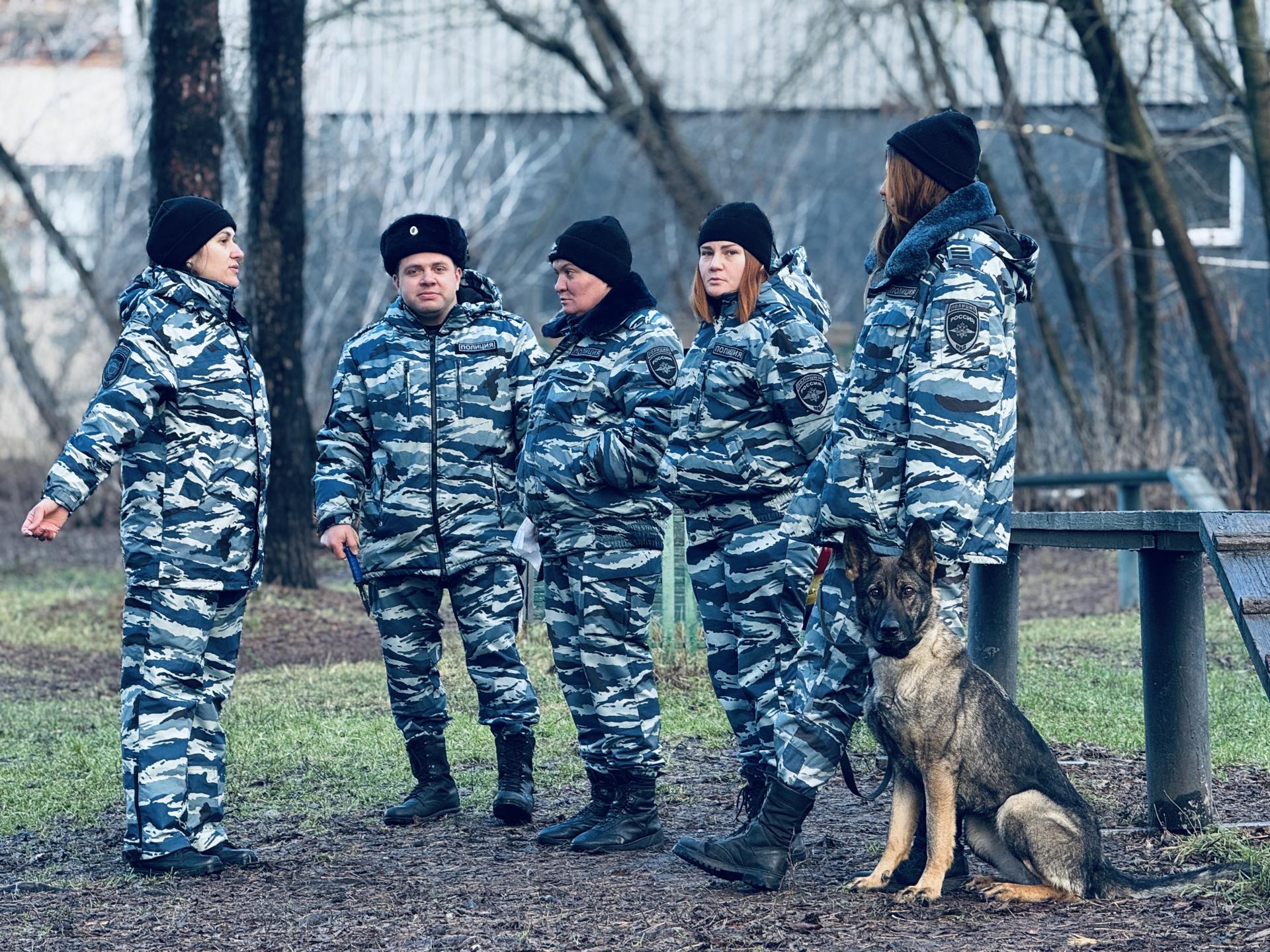 Фото: МедиаБанк Подмосковья/Ольга Стаферова