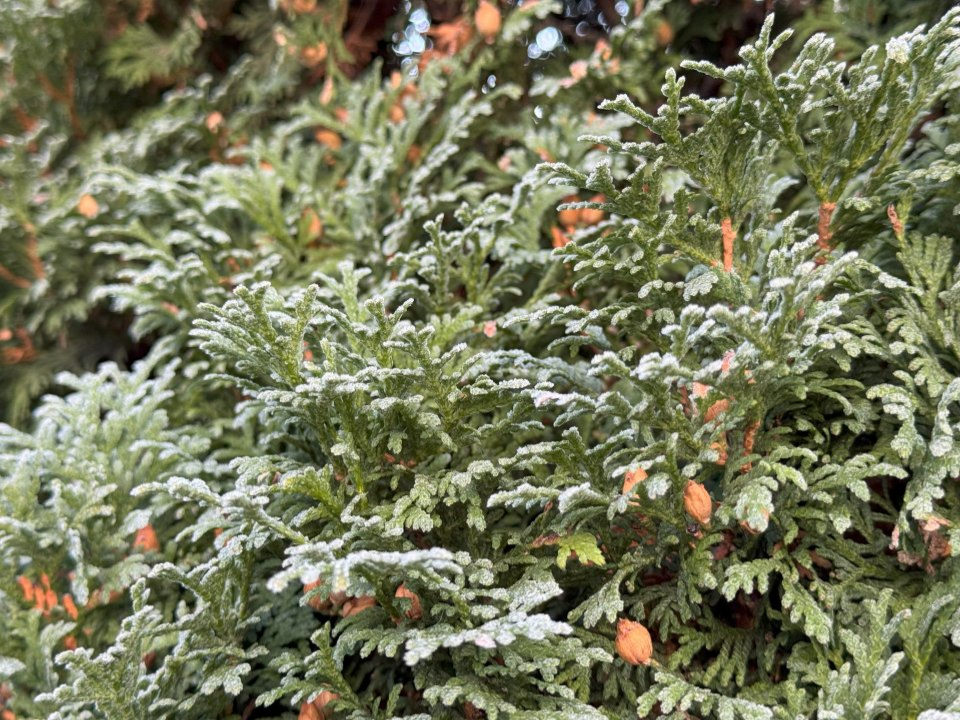 Фото: REGIONS/Илья Попов