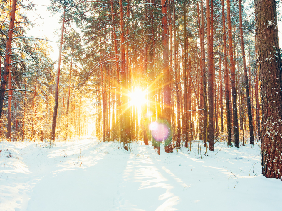 Фото: istockphoto.com/bruev